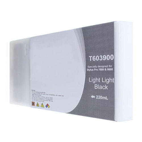 Epson T603900